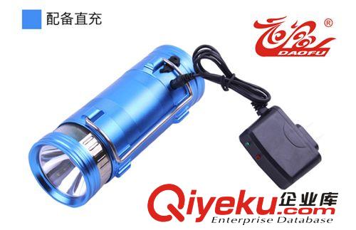 tj8W雙頭光源釣魚燈白光藍光夜釣燈漁獵充電器燈垂釣4檔調光
