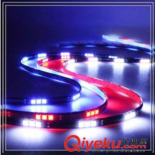 供應汽車流水燈11LED 30cm小跑馬 白紅蘭三彩 硬條燈 汽車裝飾燈
