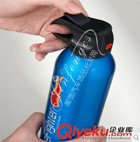 汽車迷你干粉滅火器 車用滅火器 家用車載滅火器 急救包車用原始圖片2