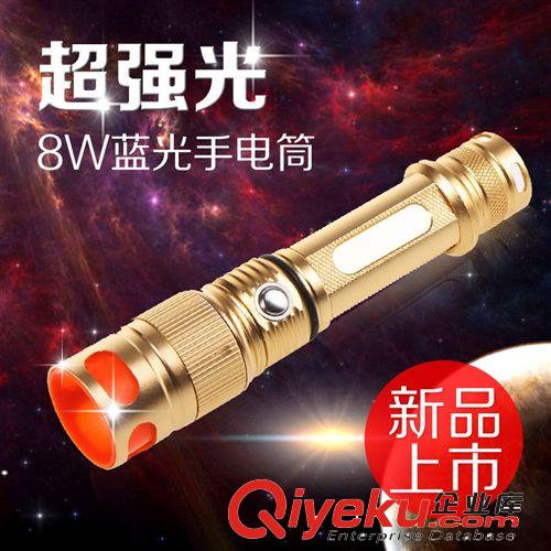 新品大功率釣魚燈 8W藍光燈 led強光充電手電 夜釣燈垂釣用品批發(fā)