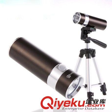 廠家漁具批發(fā) 新款防水夜釣燈 8w藍光燈釣魚燈 led充電潛水手電筒