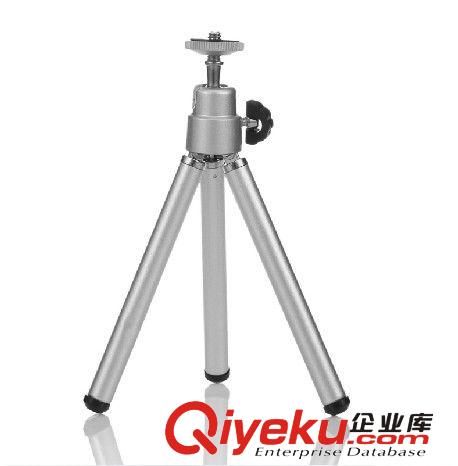 速拓釣魚支架/夜釣燈配套燈架/釣椅支架/夜釣用品 戶外垂釣用品