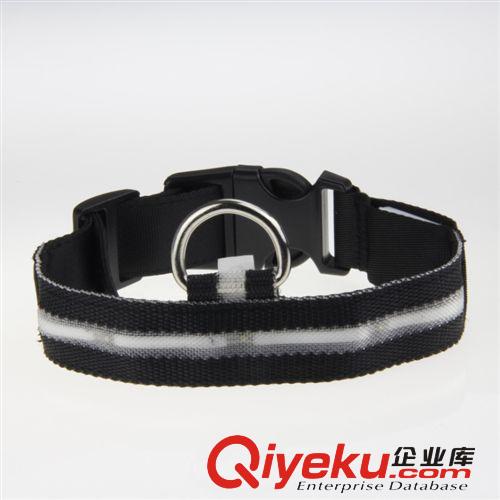 寬2.5cm絲網(wǎng)燈帶寵物項(xiàng)圈 LED發(fā)光項(xiàng)圈 寵物狗狗項(xiàng)圈 廠家直銷原始圖片3