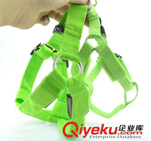 寵物LED發光狗胸背帶 發光牽引繩閃光背帶中小型犬胸背 廠家直銷原始圖片2