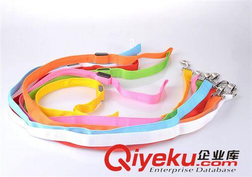 寵物LED發光拉帶 牽引繩 發光寵物用品 8色 120CM長