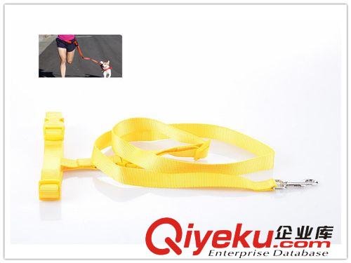 寵物用品批發專用牽引跑步拉帶牽引狗狗晨跑專用牽引繩帶廠家直供原始圖片3