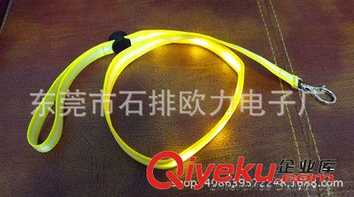生產(chǎn)廠家直銷歐美 夜晚遛狗必備 LED發(fā)光閃光牽引帶 狗狗用品原始圖片3