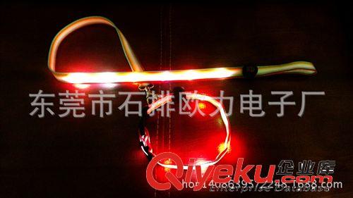 生產(chǎn)廠家 直銷歐美 夜晚遛狗必備 LED發(fā)光閃光牽引帶 戶外裝備原始圖片2