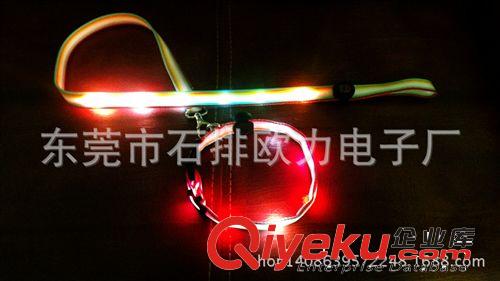 生產(chǎn)廠家 直銷歐美 夜晚遛狗必備 LED發(fā)光閃光牽引帶 戶外裝備原始圖片3