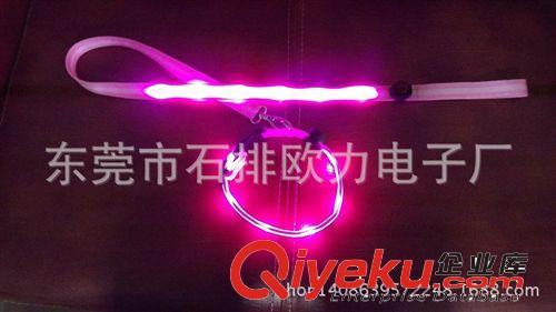 led光閃光寵物項圈 現貨{ms}大品牌 戶外發光用品 警示用具