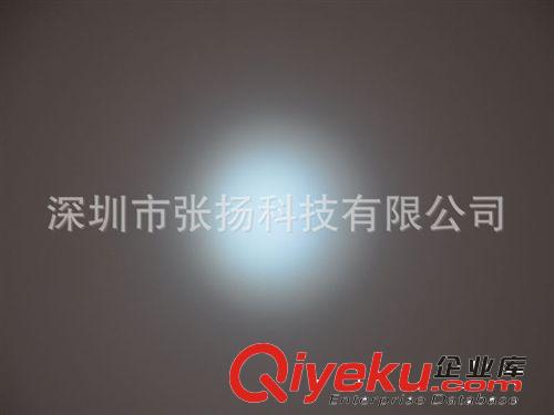 Cree Q5強(qiáng)光潛水手電筒 LED潛水電筒 120流明塑料潛水手電筒原始圖片3