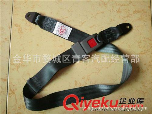 汽車二點(diǎn)式乘客安全帶原始圖片2
