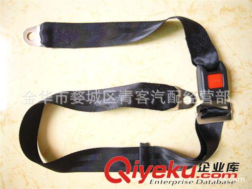 汽車二點(diǎn)式乘客安全帶原始圖片3