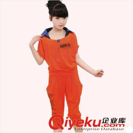 夏款 夏裝女大童 短袖女童套裝夏季 韓版2014兒童運動套裝一件代發