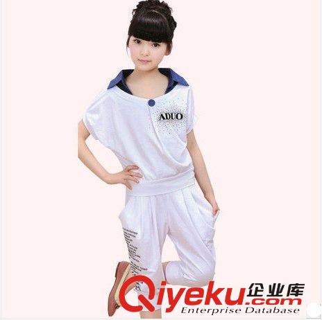 夏款 夏裝女大童 短袖女童套裝夏季 韓版2014兒童運動套裝一件代發