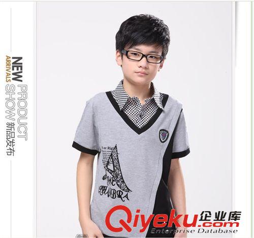 夏款 童裝2013夏裝新款少年裝男童大童翻領t恤短袖韓版兒童一件代發原始圖片2