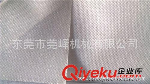 定型布 廠家直銷 不干熱熔膠定型布 無紡布定型布原始圖片3