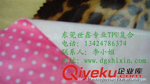 鞋材面料復合 [廠家直銷]尼龍佳積布料/手感軟適用沙灘褲泳衣文胸內襯佳積布料原始圖片3