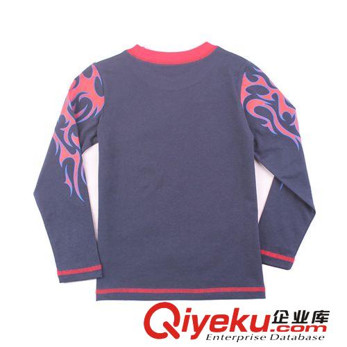 現(xiàn)貨區(qū)童T恤 廠家2014新款品牌 秋冬 精品 歐美童裝 外貿 純棉 品質 長袖童T恤