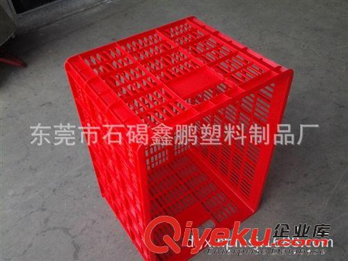 塑料框系列 批發(fā)直銷周轉(zhuǎn)筐 網(wǎng)格周轉(zhuǎn)筐 帶孔周轉(zhuǎn)筐 可來料加工周轉(zhuǎn)筐原始圖片3