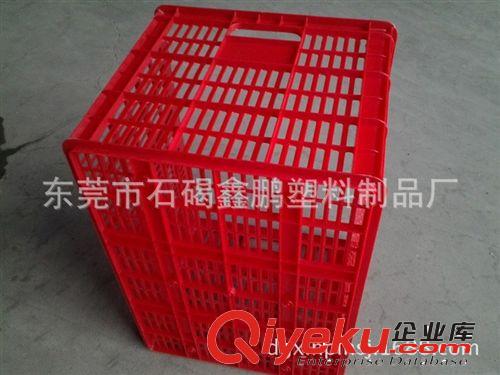 塑料框系列 實力廠家直銷塑料筐 廣州優質塑料筐 東莞全新塑料筐原始圖片3