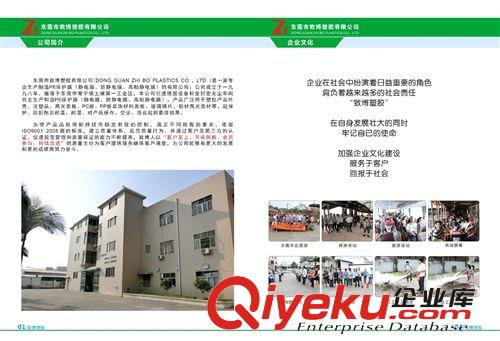 包裝材料、電子材料、絕緣材料畫冊 PE靜電膜、高溫保護(hù)膜宣傳圖冊畫冊目錄彩頁設(shè)計印刷制作原始圖片2