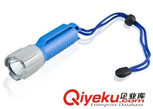 《供應》廠家直銷  塑料手電筒 可適用于1X18650電池 質(zhì)優(yōu)價優(yōu)原始圖片2