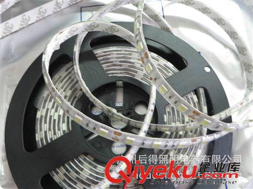 接受樣品IP65預定普通質量5050-300燈白，暖白,RGB組合，一套起訂
