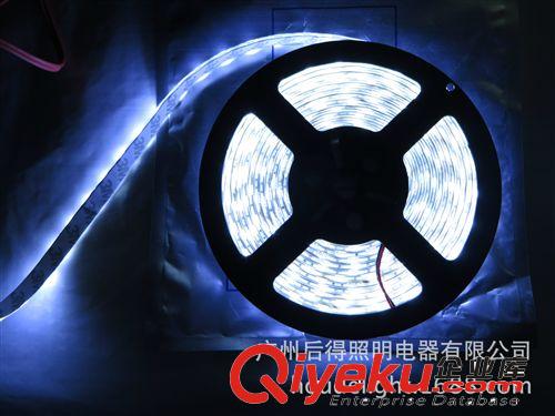 接受樣品IP65預定普通質量5050-300燈白，暖白,RGB組合，一套起訂