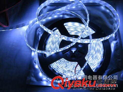接受樣品IP65預定普通質量5050-300燈白，暖白,RGB組合，一套起訂