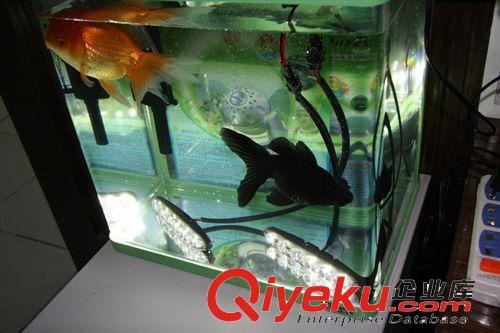 廠家直銷(xiāo)  汽車(chē)小魚(yú)叉日行燈  高亮12W日行燈   輔照燈   晝夜燈