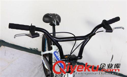 zp新款20寸碟剎表演車/20寸自行車/20寸單車/tj表演車