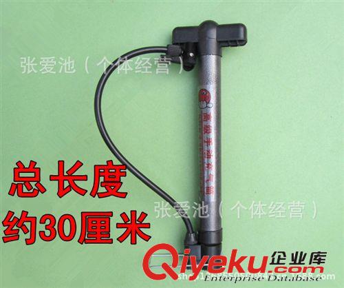 自行車打氣筒\電動車氣筒\迷你氣筒 籃球氣筒 可定做廣告定制LOGO原始圖片2