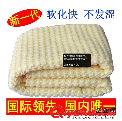 SOFT 99zp 光輝水蠟/液體蠟/超強去污水蠟/99水蠟/去污拋光蠟