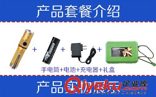 zz紫光燈紫外線手電筒365nm化妝品面膜熒光劑檢測燈檢測熒光劑原始圖片2