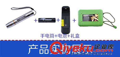 紫外線手電筒365nm 化妝品面膜熒光劑檢測燈 檢測熒光劑 紫光手電原始圖片3