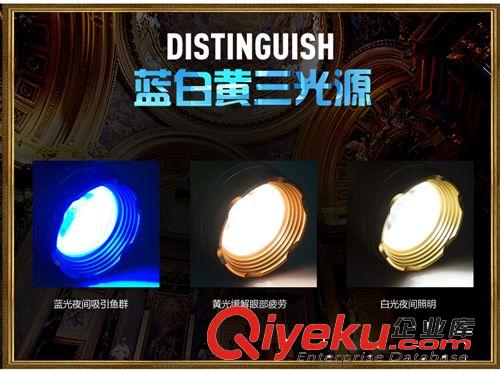 新款F20釣魚燈10W夜釣燈藍光白光黃光三光源zn的釣燈現(xiàn)貨批發(fā)原始圖片3