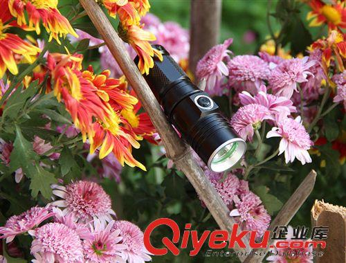銀諾Z4 迷你鋁合金強(qiáng)光手電筒 CREE Q5-XPE 戶外手電筒 汽車用品原始圖片2