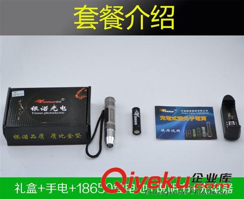 【銀諾光電】珠寶專用白光照玉燈 廠家批發(fā) 照玉石鑒定強光手電筒