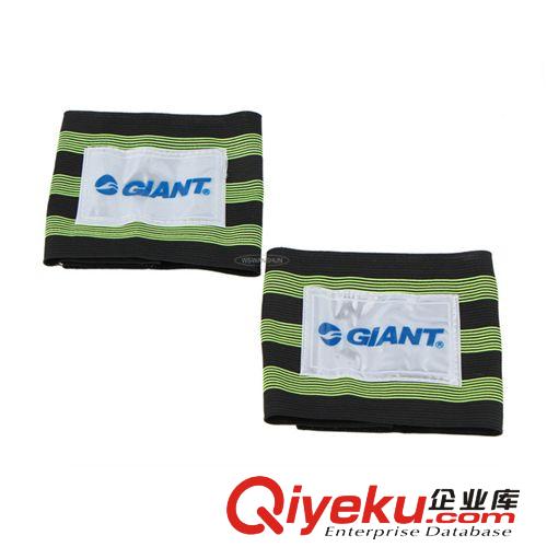 美利達自行車\ 單車鏈條保護貼\前叉保護貼 一對價