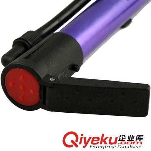 出口歐美便攜自行車打氣筒/炫彩氣筒/可更換多國嘴式原始圖片2