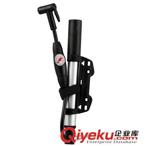 自行車氣筒打氣筒BMB高壓打氣筒合適美法嘴2用原始圖片3