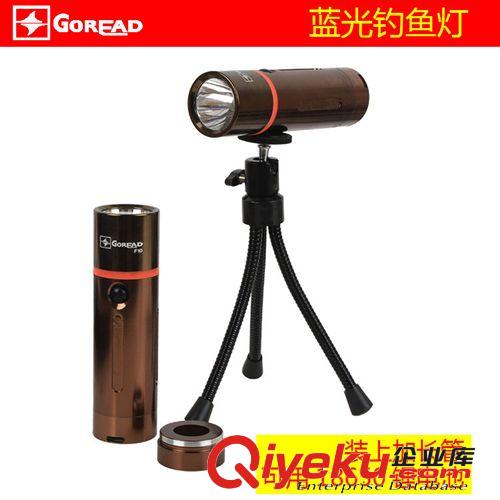 F10廠家直供C003  3W藍光碩火釣魚燈/夜釣燈/LED釣魚燈原始圖片2