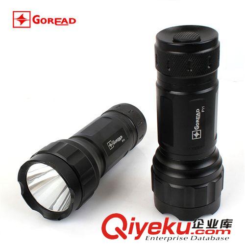 F11 zpGOREAD藍(lán)光釣魚燈 3節(jié)5號電池藍(lán)光燈 兩用電池釣魚燈380g原始圖片3