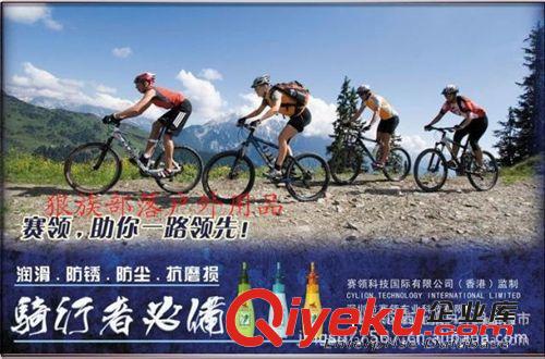 賽領(lǐng)CYLION自行車單車清洗劑鏈條清潔劑專業(yè)洗鏈器清潔油自行車油原始圖片3