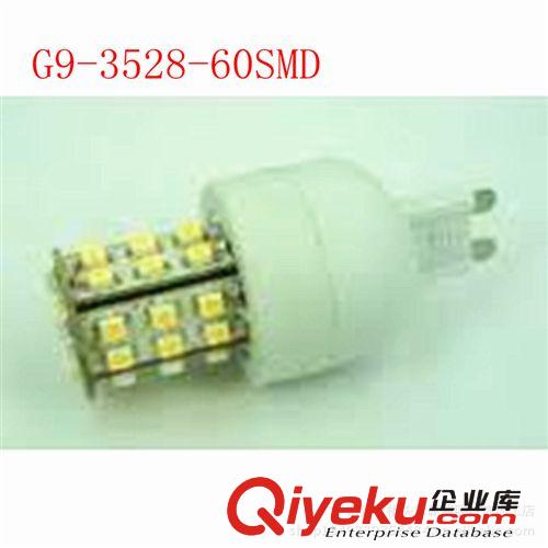 厂家tj直销ED玉米灯，室内照明灯，商业装饰灯G9-60SMD-3528