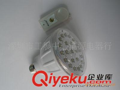 LED燈 廠家直銷LED燈（帶遙控）LED照明燈