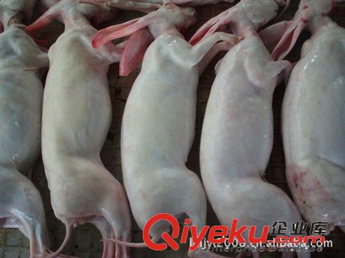 養殖供應新鮮兔肉白條兔肉 兔肉價格 兔肉深加工 兔肉產品原始圖片3
