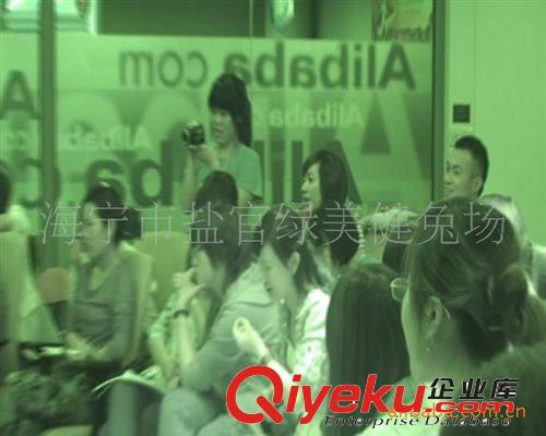 養殖實用養兔的技術培訓免費  養兔技術  獺兔特種養殖動物項目原始圖片2