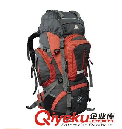 zpDoite 6695  雙肩登山戶外包 徒步包 旅行包 60升 騎行包